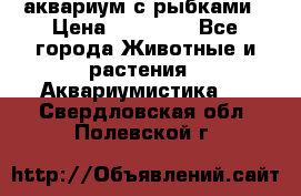 аквариум с рыбками › Цена ­ 15 000 - Все города Животные и растения » Аквариумистика   . Свердловская обл.,Полевской г.